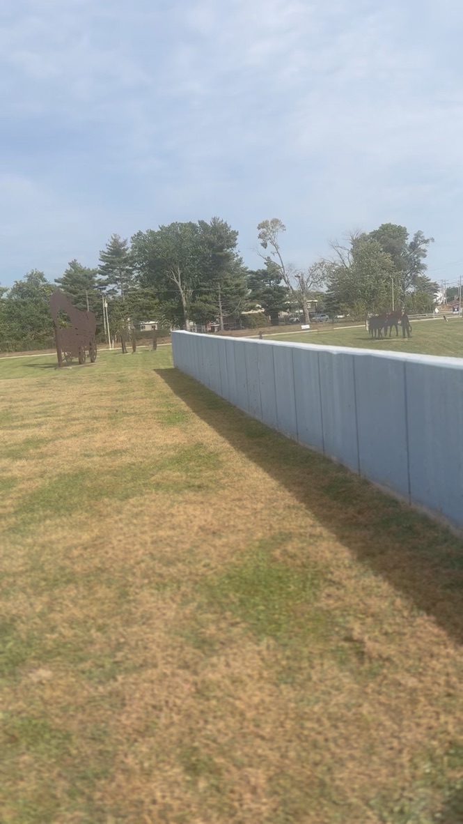 Yard area — metal privacy fence with nearby landmarks