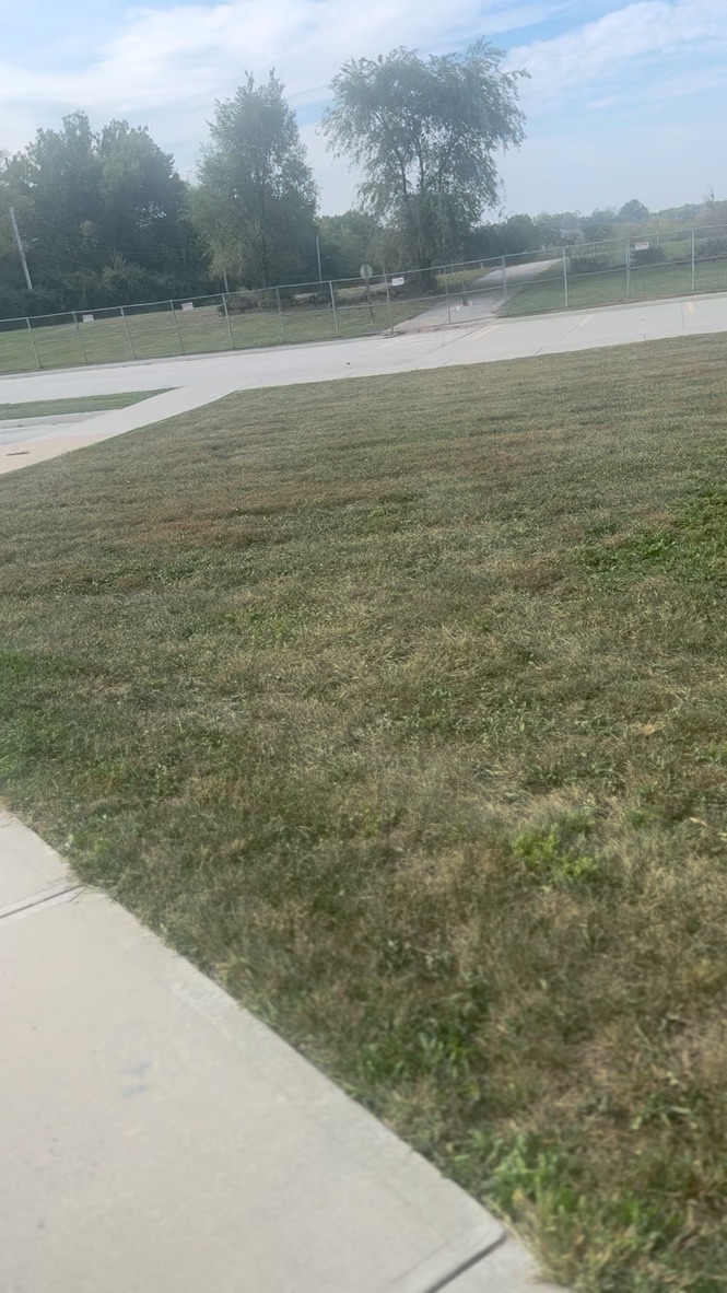 Front grounds — sidewalk, lawn, and road access