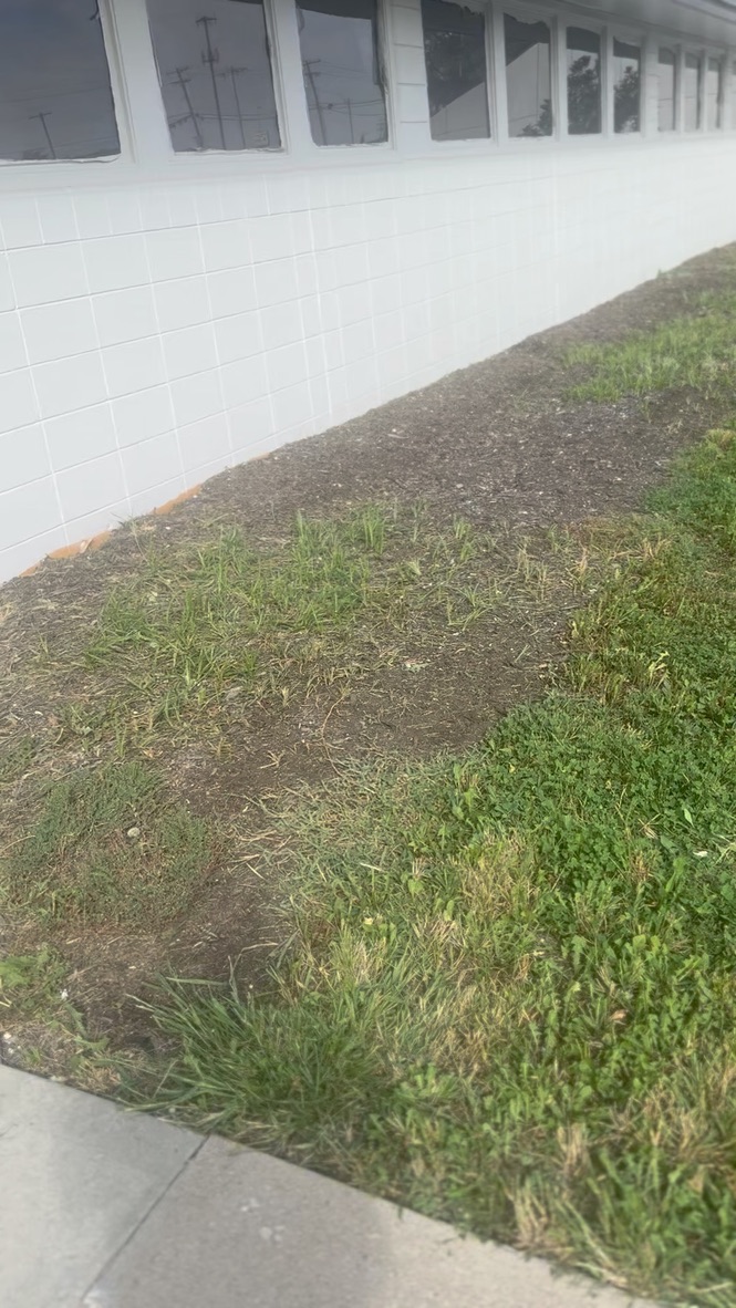 Building side — ground-level windows and walkway